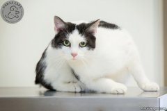 phoca_thumb_l_IMG_2375_resize