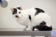phoca_thumb_l_IMG_2390_resize
