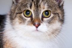 phoca_thumb_l_IMG_2409_resize