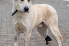 phoca_thumb_l_IMG_2533_resize