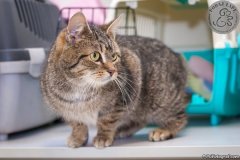 phoca_thumb_l_IMG_2819_resize