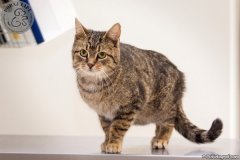 phoca_thumb_l_IMG_2824_resize