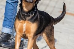 phoca_thumb_l_IMG_2879_resize