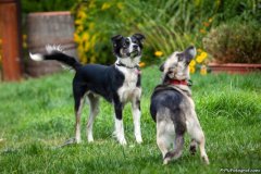 phoca_thumb_l_IMG_2035_resize