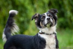 phoca_thumb_l_IMG_2043_resize