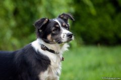 phoca_thumb_l_IMG_2048_resize