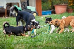 phoca_thumb_l_IMG_2057_resize