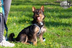 phoca_thumb_l_IMG_9716_resize