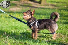 phoca_thumb_l_IMG_9733_resize