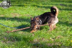 phoca_thumb_l_IMG_9751_resize