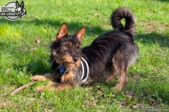 phoca_thumb_l_IMG_9753_resize