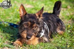 phoca_thumb_l_IMG_9762_resize