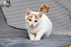 phoca_thumb_l_IMG_1846_resize