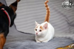 phoca_thumb_l_IMG_1847_resize