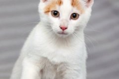 phoca_thumb_l_IMG_1848_resize