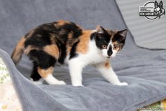 phoca_thumb_l_IMG_1859_resize