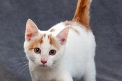 phoca_thumb_l_IMG_1863_resize