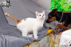 phoca_thumb_l_IMG_1866_resize