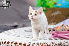 phoca_thumb_l_IMG_1870_resize