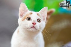 phoca_thumb_l_IMG_1872_resize