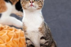 phoca_thumb_l_IMG_1880_resize