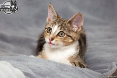 phoca_thumb_l_IMG_1889_resize