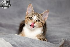 phoca_thumb_l_IMG_1890_resize