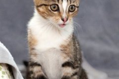 phoca_thumb_l_IMG_1895_resize