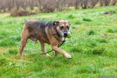 phoca_thumb_l_IMG_5496_resize