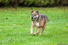 phoca_thumb_l_IMG_5506_resize