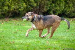 phoca_thumb_l_IMG_5528_resize