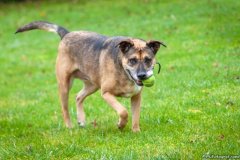 phoca_thumb_l_IMG_5533_resize