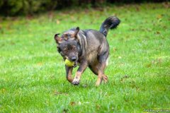 phoca_thumb_l_IMG_5577_resize