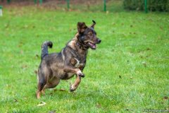 phoca_thumb_l_IMG_5588_resize