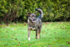 phoca_thumb_l_IMG_5600_resize