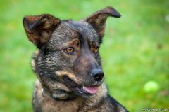 phoca_thumb_l_IMG_5608_resize