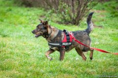 phoca_thumb_l_IMG_5618_resize