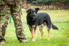 phoca_thumb_l_IMG_5649_resize
