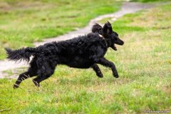 phoca_thumb_l_IMG_1782_resize