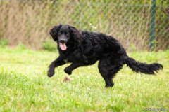 phoca_thumb_l_IMG_1807_resize