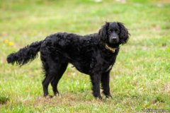 phoca_thumb_l_IMG_1816_resize
