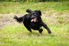phoca_thumb_l_IMG_1818_resize