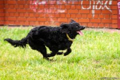 phoca_thumb_l_IMG_1828_resize