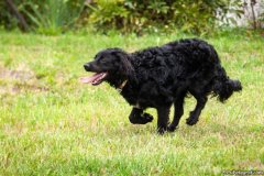 phoca_thumb_l_IMG_1837_resize