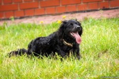 phoca_thumb_l_IMG_1843_resize