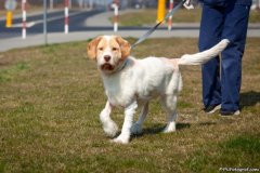 phoca_thumb_l_IMG_2823_resize
