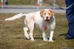 phoca_thumb_l_IMG_2826_resize