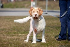 phoca_thumb_l_IMG_2827_resize