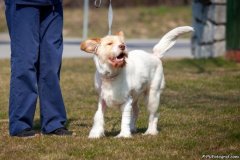 phoca_thumb_l_IMG_2848_resize