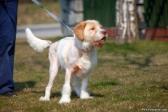 phoca_thumb_l_IMG_2851_resize